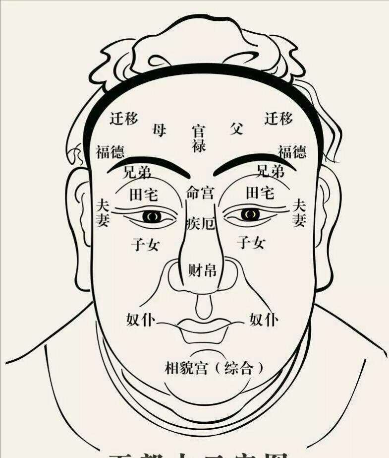 短命的面相图片