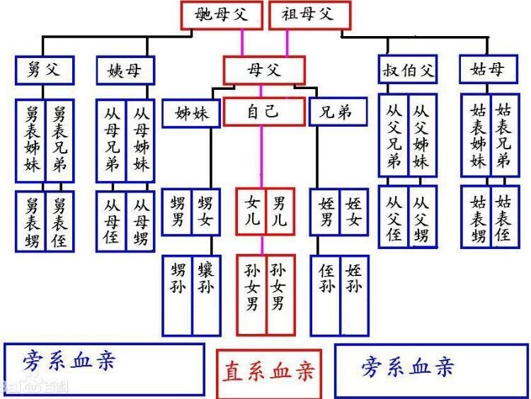 手机罗盘大全